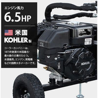 ミナト電機工業 エンジン薪割り機 LSE-12K+4分割カッター付きセット 【車渡】 LSE-12K 1個（直送品）