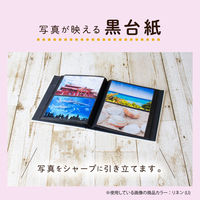 セキセイ フレームポケットアルバムL80 LB XP-2780-11 1冊