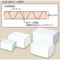シモジマ フリーBOX Fー77 006206810 1束(10枚)