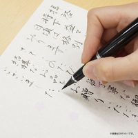 呉竹 くれ竹万年毛筆 スターリーナイト 軸色:ブラック DAY141-1 1本（直送品）