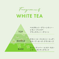 レイヴィー ボディシャンプー ホワイトティー 500mL アクシス 液体タイプ