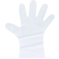 エブノ エブケアシルキーグローブ 使い捨て手袋 半透明 箱入 LLサイズ No.3061 1セット(100枚×20箱)