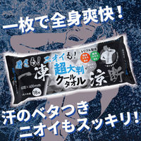 iiもの本舗 超大判クールタオル 暑さもニオイも一凍涼断 18枚入 4589596694153 1セット(12袋×18枚入)（直送品）