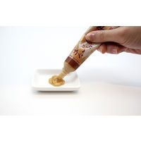 旨味本来・生しょうがチューブ入り40ｇ ３個 国産しょうが使用　生姜 ムソー