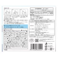 【業務用】5層立体SOUCORE MASK医療用 おこめホワイト個別包装20枚入 4573508630421 1箱(20枚入)（直送品）