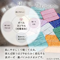 日繊商工 ジャパニーズスタイルやわらかガーゼハンカチ あさのは 約30×30cm 1枚入 JS-4136 1箱(1枚入)（直送品）