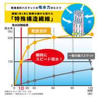 オカ　乾度良好ナチュラルリーフ　バスマット　グレー　65472　1枚（直送品）