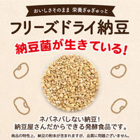 【WEB限定】 国産 ひきわり フリーズドライ納豆 3g×20P×10個 4901118011482 1セット(60g×10個)（直送品）