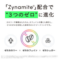 TWO 2Energy 250ml×10本 4589570801348 1セット(250ml×10本（直送品）