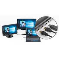 エアリア TypeC接続ドッキングステーションREVERSIBLE TWELEVE　Ver.DP SDーCMULTIDX02 1個