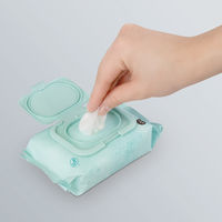 オオサキメディカル dacco ベビーおしりふき ふた付 おでかけ用 厚手 1セット（1個（24枚入）×8）