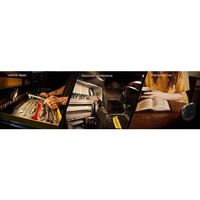 Fenix 無段階調色・高演色LEDワークライト CL28R 1個 595-2962（直送品）