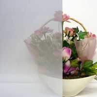 エスコ 920x900mm プライバシー保護用窓フィルム(省エネミラー) EA954EA-4 1セット(2巻)（直送品）