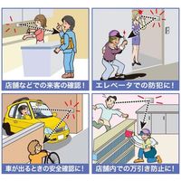 エスコ 135x 80mm 防犯ミラー(粘着付) EA724ZE-2A 1セット(3枚)（直送品）