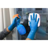 Ansell ニトリル使い捨て手袋 マイクロフレックス 93ー283 Lサイズ(50枚入) 93-283-9 1箱(50枚)（直送品）