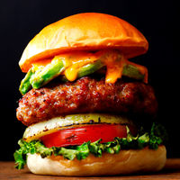 日東ベスト [冷凍] JGハンバーグロティールR150g×5個入 4902385007321 1個(750g)（直送品）