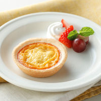 日東ベスト [冷凍] 焼きプリンタルト4個入×5個 4902385012776 1セット(120g×5個)（直送品）