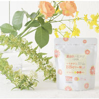 マスチゲンBBゼリー120錠パウチ 日本臓器製薬 肌あれ にきび 口内炎【第3類医薬品】