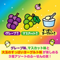 ふ～せんの実 カラフルみっくす 4個 ロッテ ガム