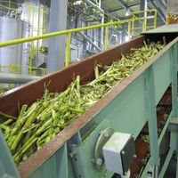 波照間島産黒糖250g 1袋 ゆうな物産