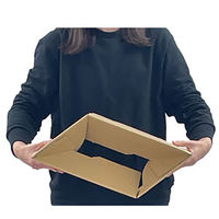 【60サイズ】テープレスダンボール 外寸：297×187×96mm 1パック（10枚入） フジケース