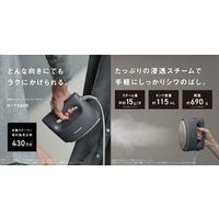 パナソニック 衣類スチーマー NI-FS60B-G 1台