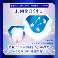 シュミテクト フューチャーホワイトケア〈1450ppm〉 80g Haleonジャパン 美白 歯磨き粉 虫歯予防