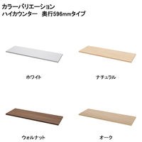 アール・エフ・ヤマカワ テンポ ハイカウンター 棚板 幅1200mm用 ホワイト 1枚