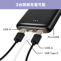 エール RiC MB0012 10000mAhバッテリー ホワイト WH 1個（直送品）