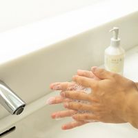 【アウトレット】生活の木 シアバターハンドウォッシュ 本体 200ml 1個【液体タイプ】