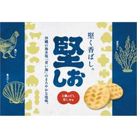 せんべい 煎餅 堅しお 10枚入  12袋  個包装 お配り金吾堂製菓