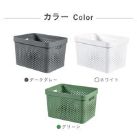 CURVER(カーバー) Infunity バスケット 17L グリーン CVー072 荷物置き　荷物入れ　1個