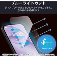 らくらくスマートフォン F-53E ガラスフィルム 高透明 ブルーライトカット PM-F244FLGGBL エレコム 1個（直送品）