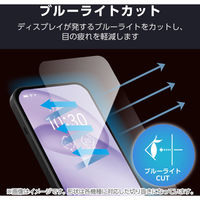らくらくスマートフォン F-53E フィルム 高透明 ブルーライトカット PM-F244FLBLGN エレコム 1個（直送品）