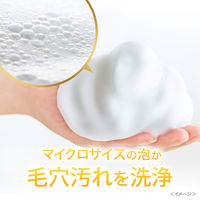 ダヴ（Dove） ビューティモイスチャー クリーミー泡洗顔料　シトラスミモザの香り  150ml ユニリーバ