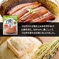 介護食 やわらか食 キユーピー やさしい献立 Y4-25 山椒香るなめらか鰻ごはん 1セット（3袋入）