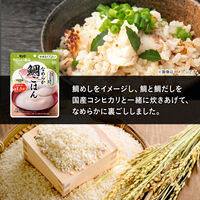 介護食 やわらか食 キユーピー やさしい献立 Y4-23 なめらか鯛ごはん 1セット（6袋入）
