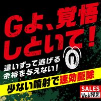 ゴキブリ 駆除 スプレー ＧｉＤＯＲＡＸ ギドラクス ゴキブリ用スプレー 殺虫剤  1セット（1本×2） アース製薬
