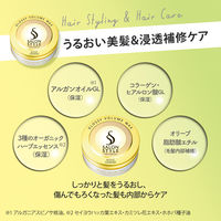 サロンスタイル　ヘアワックス　（グロッシーボリューム） 72ｇ