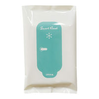 レック SRT 男性用 流せるボディシート ミントの香り C01259 1個（12枚入）