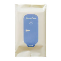 レック SRT 男性用 流せるボディシート 無香料 C01260 1個（12枚入）