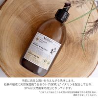 ヴィスプランティス ファーマケア リキッドソープ アロエベラ+ウレア 500mL 1セット（1個×3）  【液体タイプ】 三和トレーディング