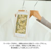 モリス リテリングスオブクラシック ワードローブサシェ グリーンリーフ＆ホワイトティ 1セット（1個×3） つり下げ式芳香剤 三和トレーディング