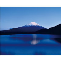 シヤチハタ ネーム9 メールオーダー式(100周年) 富士の晴 XL-9/CJ1(MO) 1個