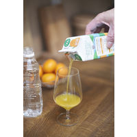 リンゴ酢仕立ての旬しぼり　愛媛みかんの飲む酢 500ml 3本 マルカン酢 希釈用 飲む酢 りんご酢 お酢ドリンク　紙パック