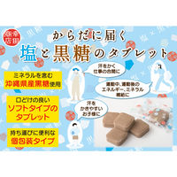 塩分商材 塩分補給 個包装 からだに届く塩と黒糖のタブレット 170g 1セット（1袋×6） 幸田商店
