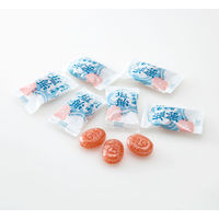 塩分補給 あめ キャンディー 塩飴 ほんのり梅味 80g 12袋 榮太樓  個包装