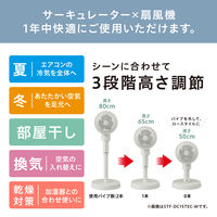 アイリスオーヤマ DCサーキュレーター扇風機E型 STFーDC15TECーW 1台