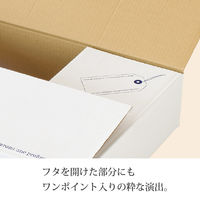 【80サイズ】ヘッズ スタンプ宅配BOX-2 外寸：W360×D270×H110mm STA-CT2 1袋（10枚入）