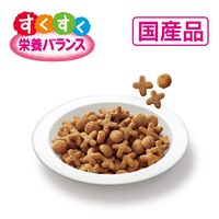 メディファス 子ねこ 12か月まで 下部尿路 チキン味 国産 150g 1個 ペットライン キャットフード 猫用